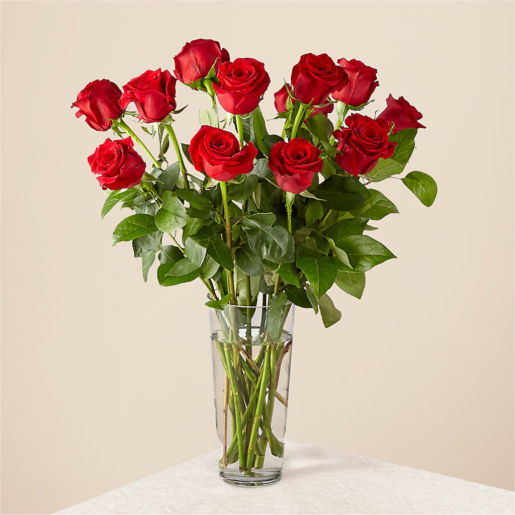 Long Stem Red Rose Bouquet – Roseland Floral Co Inc, Charlotte NC