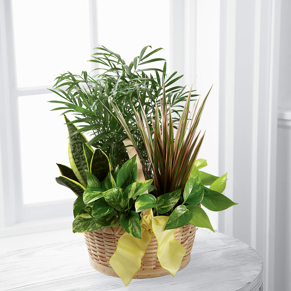 French Garden – Roseland Floral Co Inc, Charlotte NC
