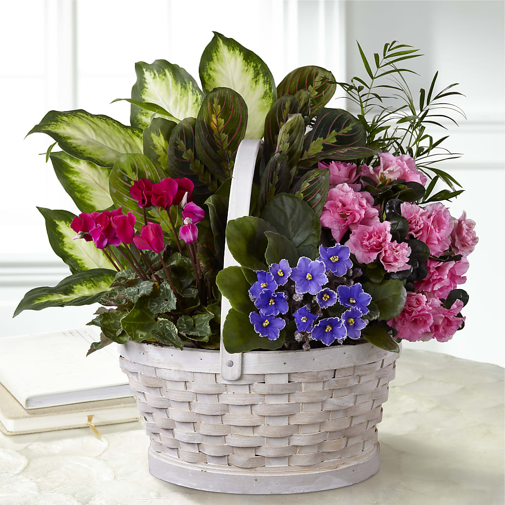 Peaceful Garden Planter – Roseland Floral Co Inc, Charlotte NC