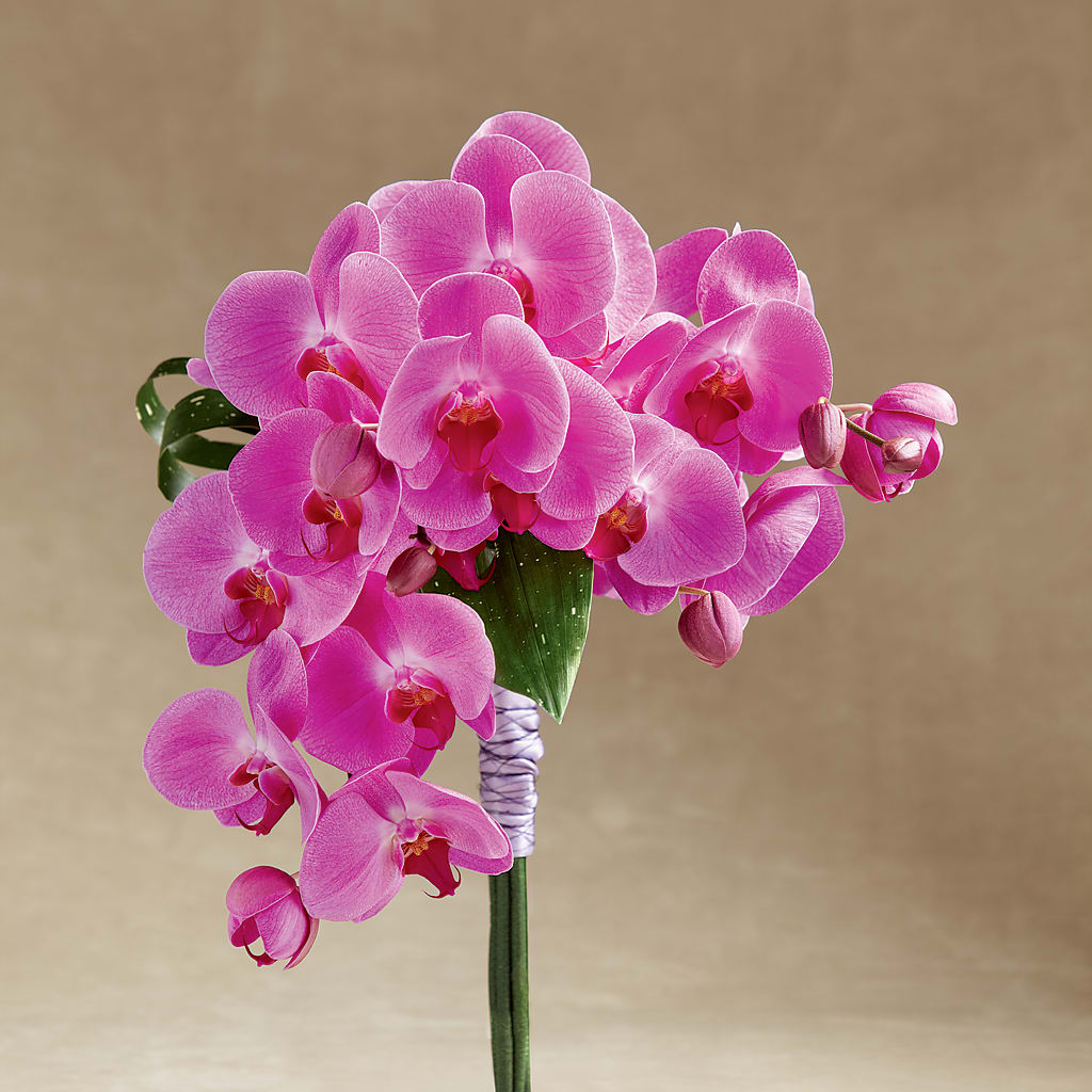Glorious Bouquet – Roseland Floral Co Inc, Charlotte NC