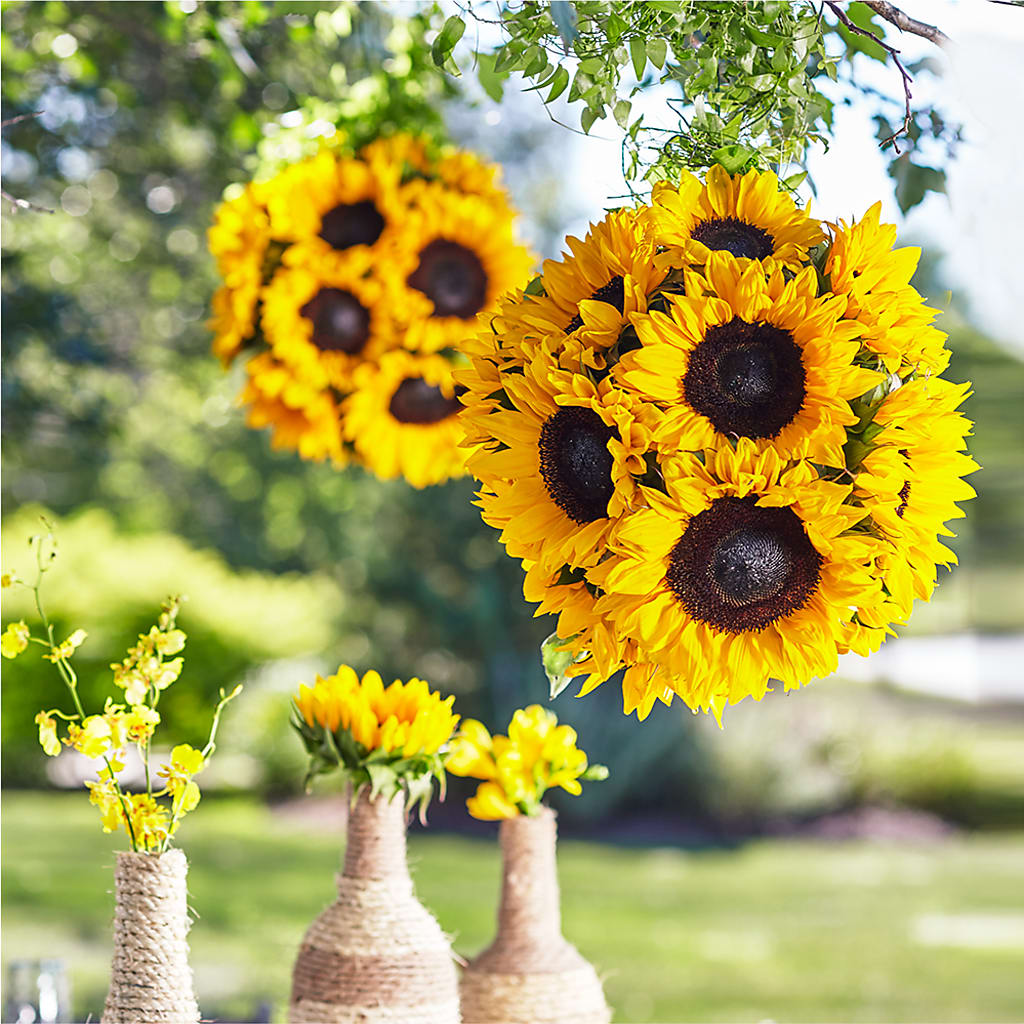 Sublime Garden Hanging Arrangement – Roseland Floral Co Inc, Charlotte NC