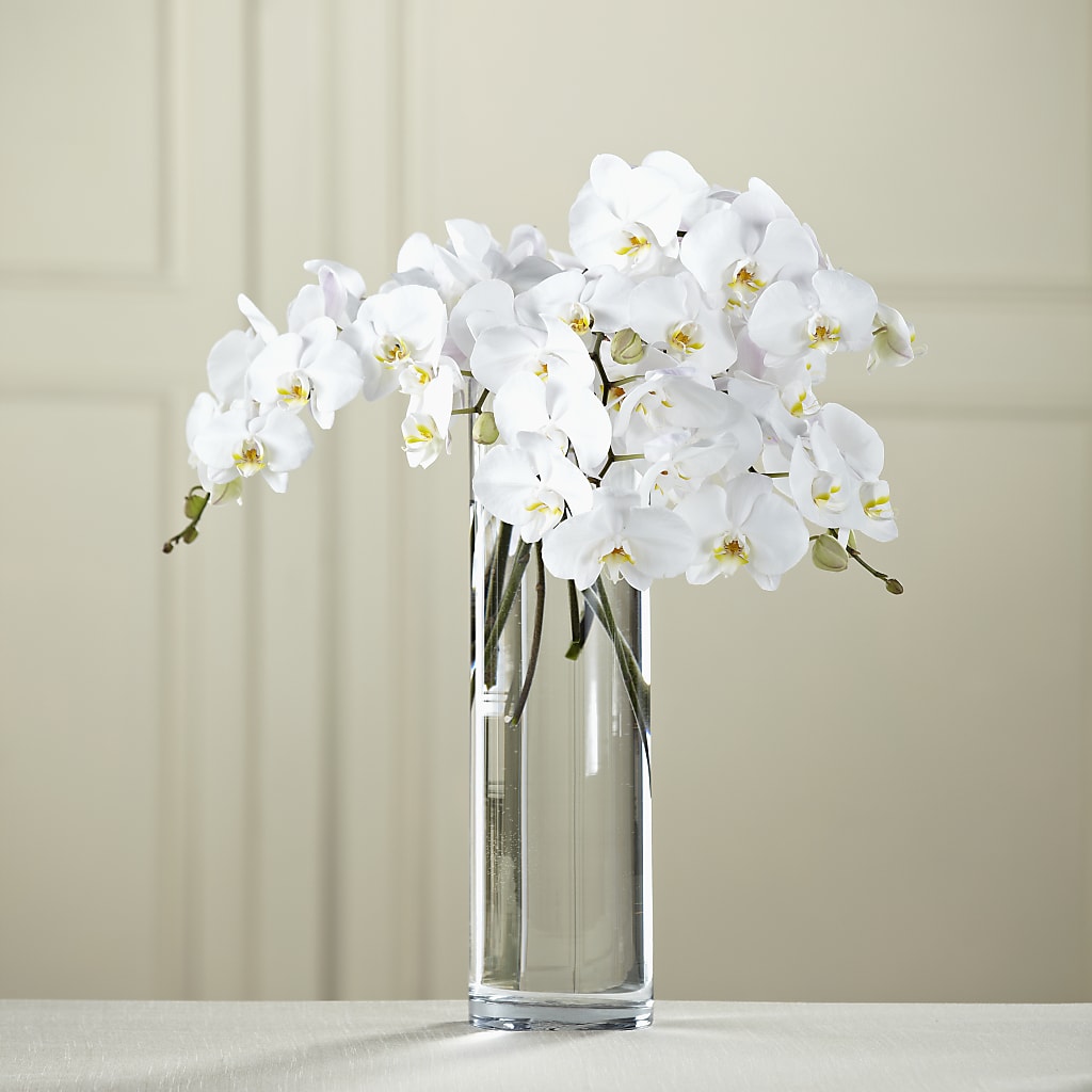 White Phalaenopsis Bouquet – Roseland Floral Co Inc, Charlotte NC