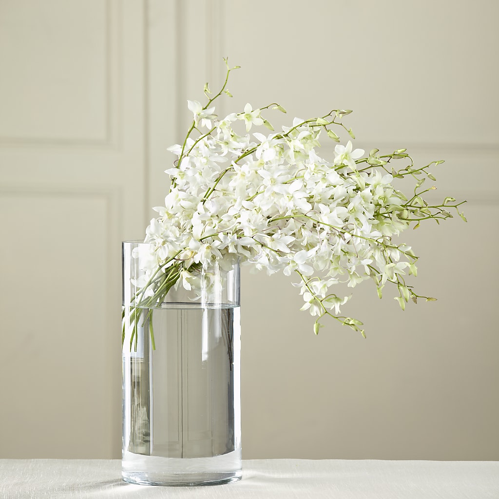 White Dendrobium Bouquet – Roseland Floral Co Inc, Charlotte NC