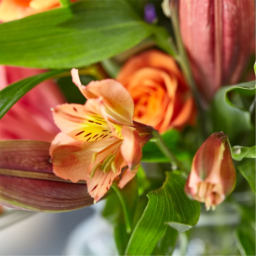 Bold & Bright – A Florist Original –  Roseland Floral Co Inc, Charlotte NC