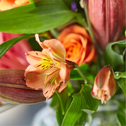 Bold & Bright – A Florist Original –  Roseland Floral Co Inc, Charlotte NC
