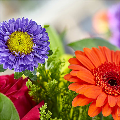 Bold & Bright – A Florist Original –  Roseland Floral Co Inc, Charlotte NC