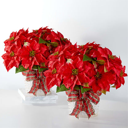 Happiest Holidays Poinsettia Bundle –  Roseland Floral Co Inc, Charlotte NC