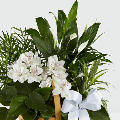 Peace & Serenity Dishgarden –  Roseland Floral Co Inc, Charlotte NC