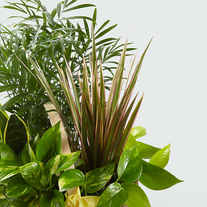 French Garden –  Roseland Floral Co Inc, Charlotte NC