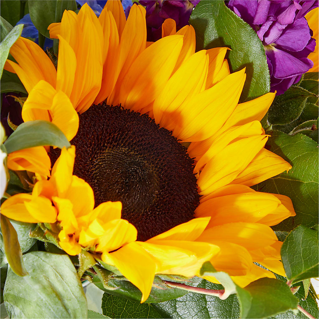 Catching Rays Bouquet –  Roseland Floral Co Inc, Charlotte NC