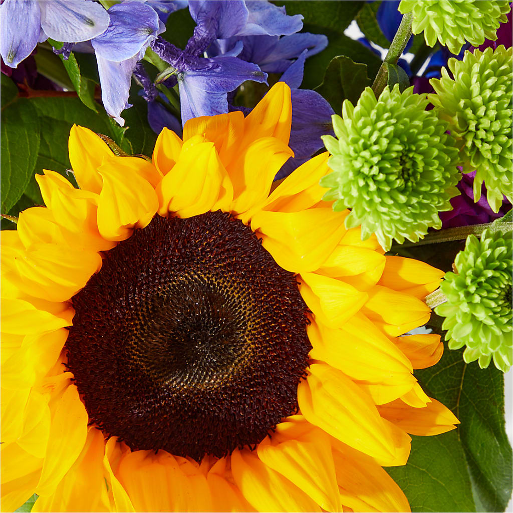 Catching Rays Bouquet –  Roseland Floral Co Inc, Charlotte NC