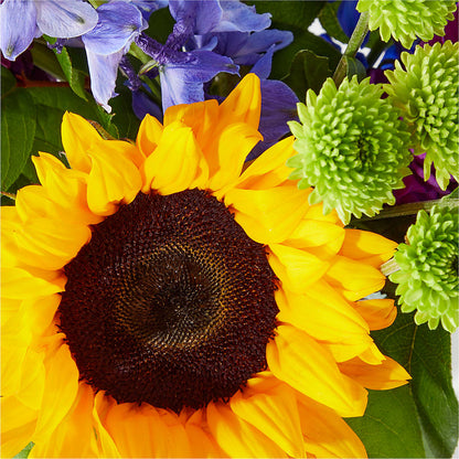 Catching Rays Bouquet –  Roseland Floral Co Inc, Charlotte NC