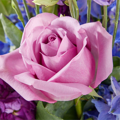 Twilight Glow Bouquet –  Roseland Floral Co Inc, Charlotte NC