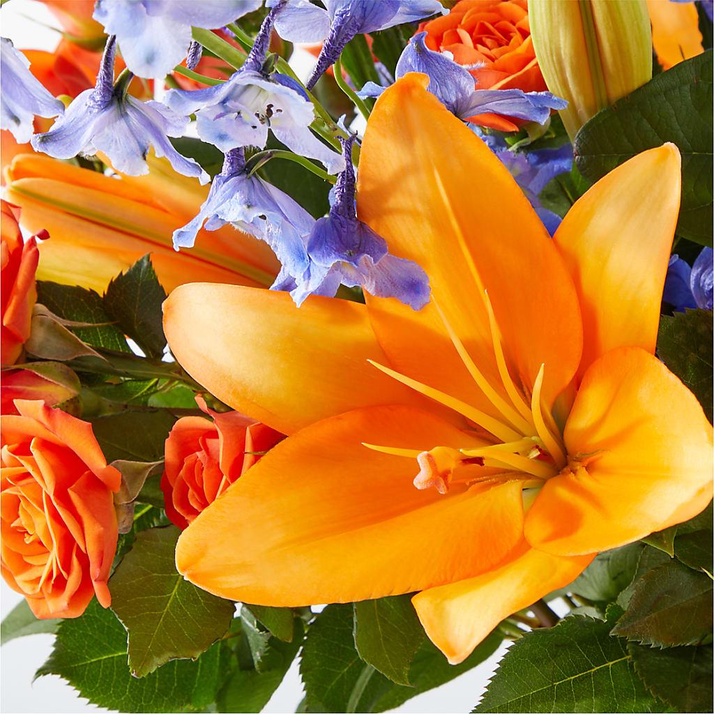 Radiant Citrus Bouquet –  Roseland Floral Co Inc, Charlotte NC