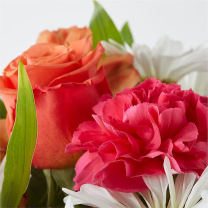 Oopsie Daisy Bouquet –  Roseland Floral Co Inc, Charlotte NC