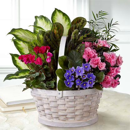 Peaceful Garden Planter –  Roseland Floral Co Inc, Charlotte NC