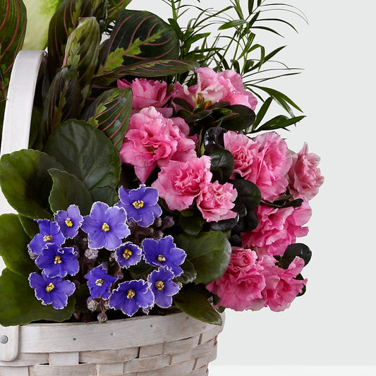 Peaceful Garden Planter –  Roseland Floral Co Inc, Charlotte NC