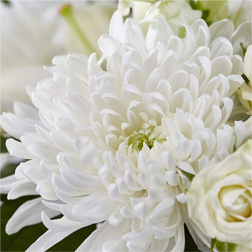 Classic Ivory – A Florist Original –  Roseland Floral Co Inc, Charlotte NC