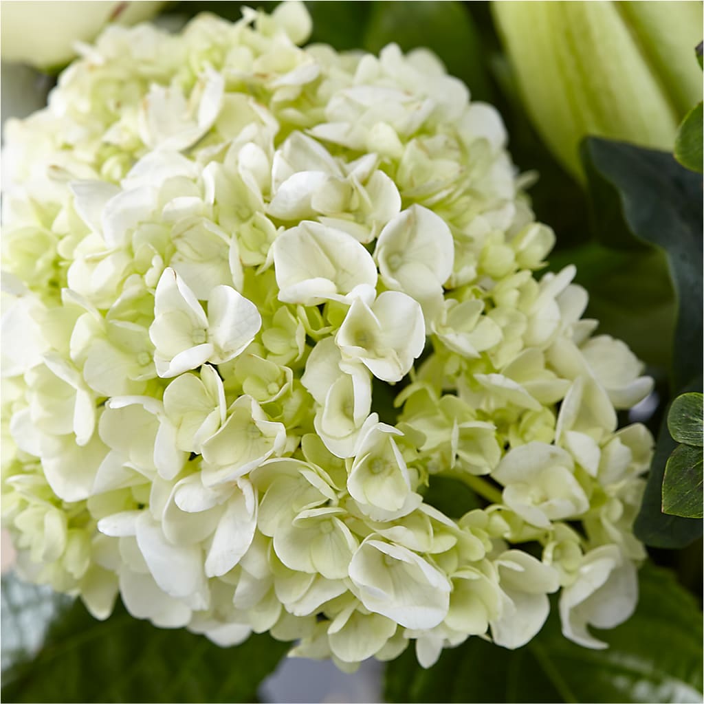 Classic Ivory – A Florist Original –  Roseland Floral Co Inc, Charlotte NC
