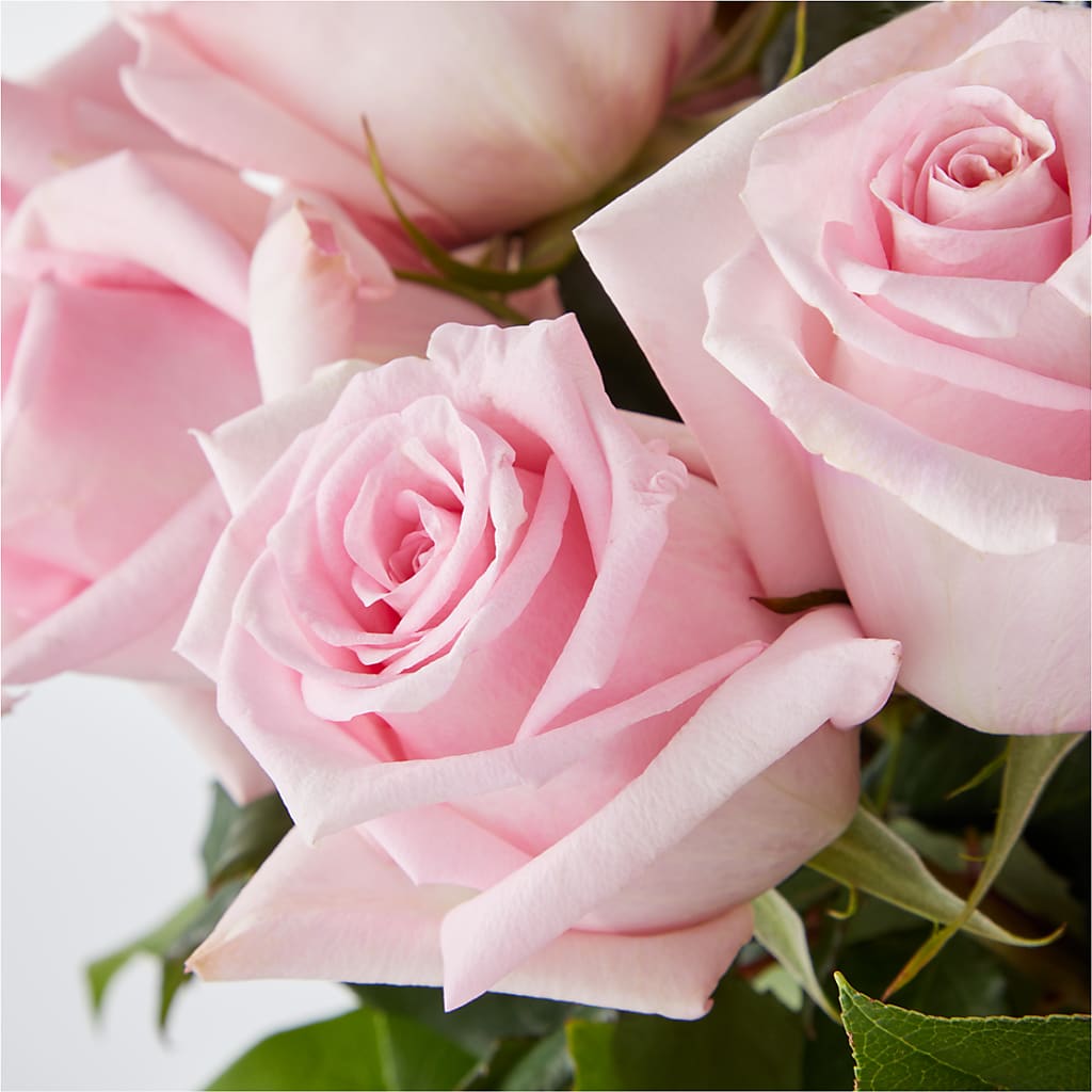 Picture Perfect Pink Rose Bouquet –  Roseland Floral Co Inc, Charlotte NC