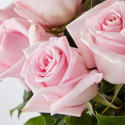 Picture Perfect Pink Rose Bouquet –  Roseland Floral Co Inc, Charlotte NC