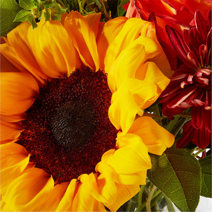 Harvest Festival Bouquet –  Roseland Floral Co Inc, Charlotte NC