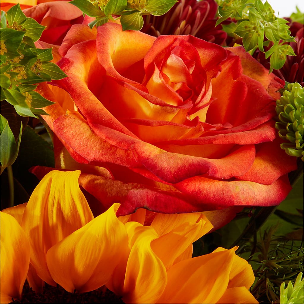 Harvest Festival Bouquet –  Roseland Floral Co Inc, Charlotte NC