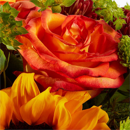 Harvest Festival Bouquet –  Roseland Floral Co Inc, Charlotte NC