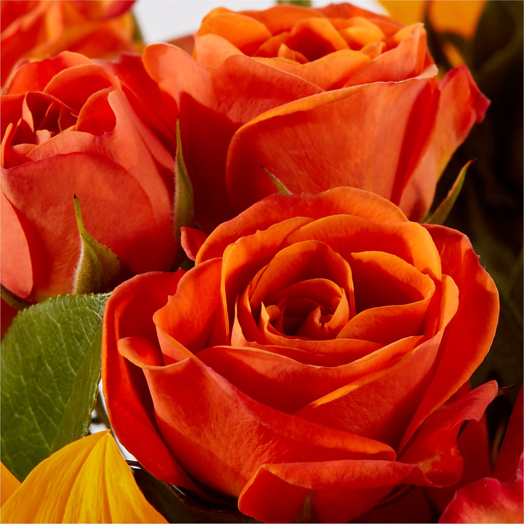 Picnic in the Park Bouquet –  Roseland Floral Co Inc, Charlotte NC