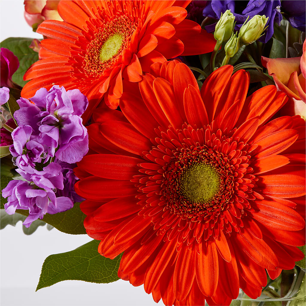 Sangria Bouquet –  Roseland Floral Co Inc, Charlotte NC