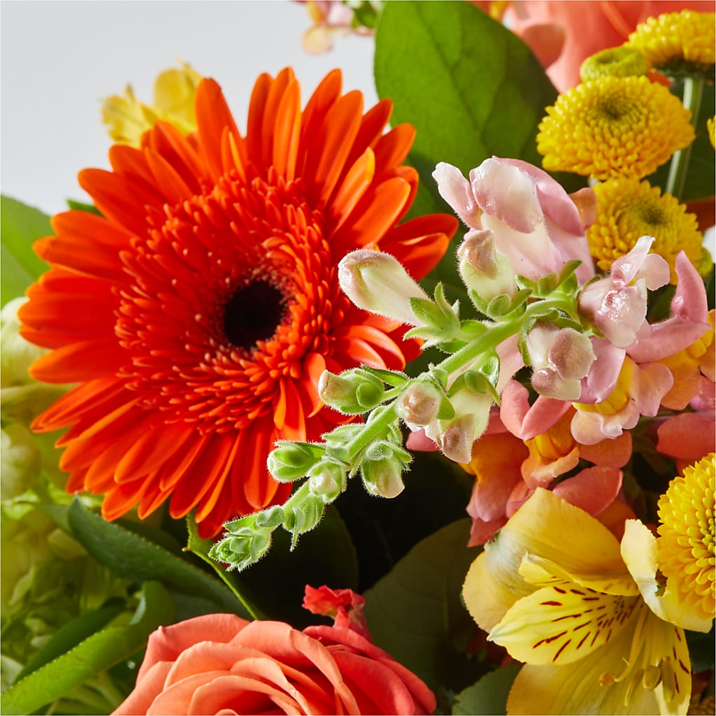 Autumn Sunshine Bouquet –  Roseland Floral Co Inc, Charlotte NC