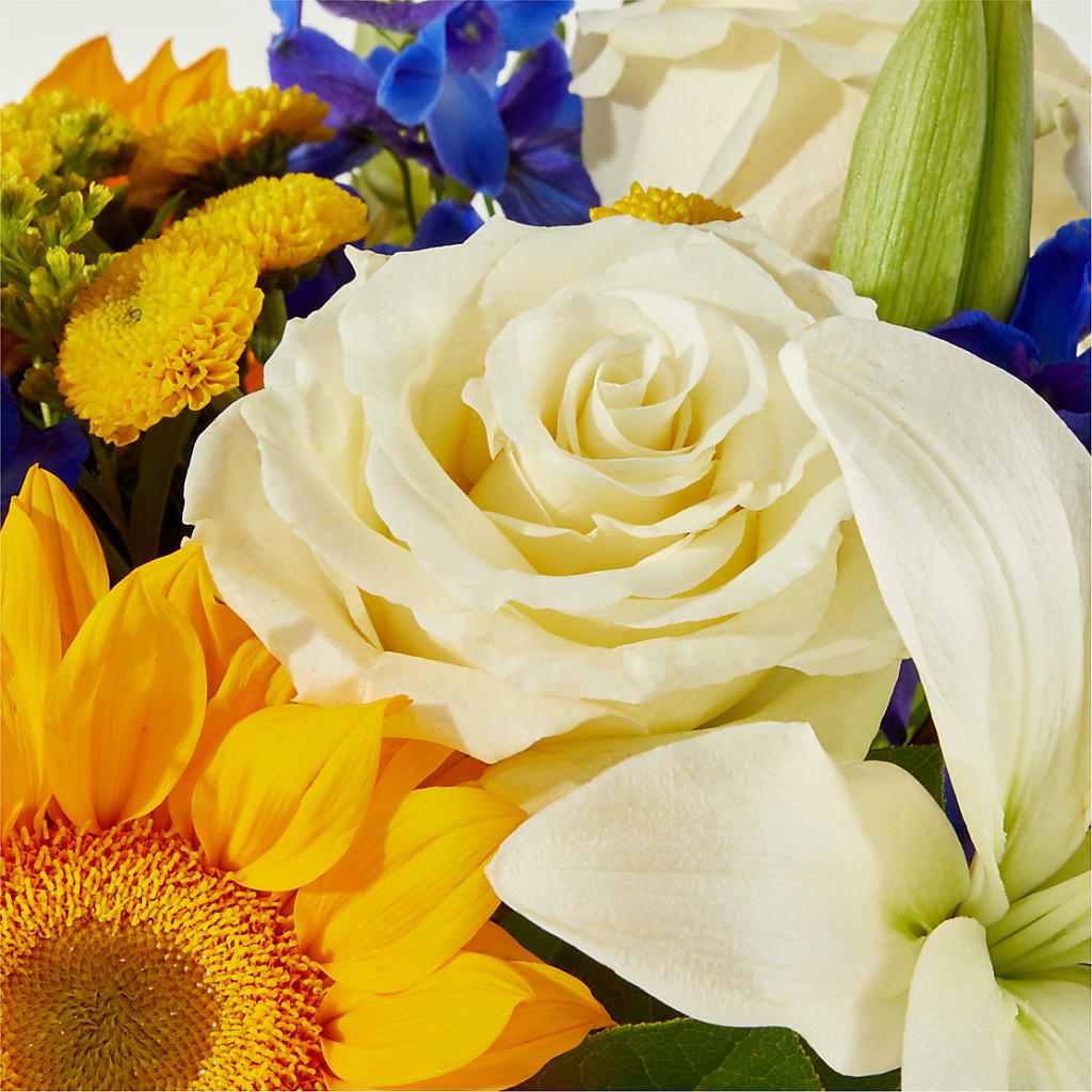 Stargazing Bouquet –  Roseland Floral Co Inc, Charlotte NC