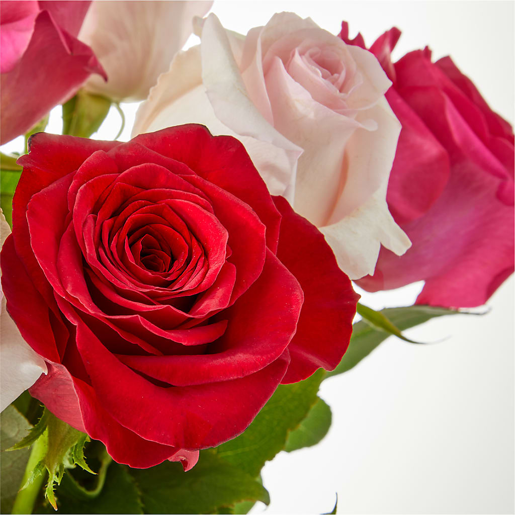 Charming Rose Bouquet –  Roseland Floral Co Inc, Charlotte NC