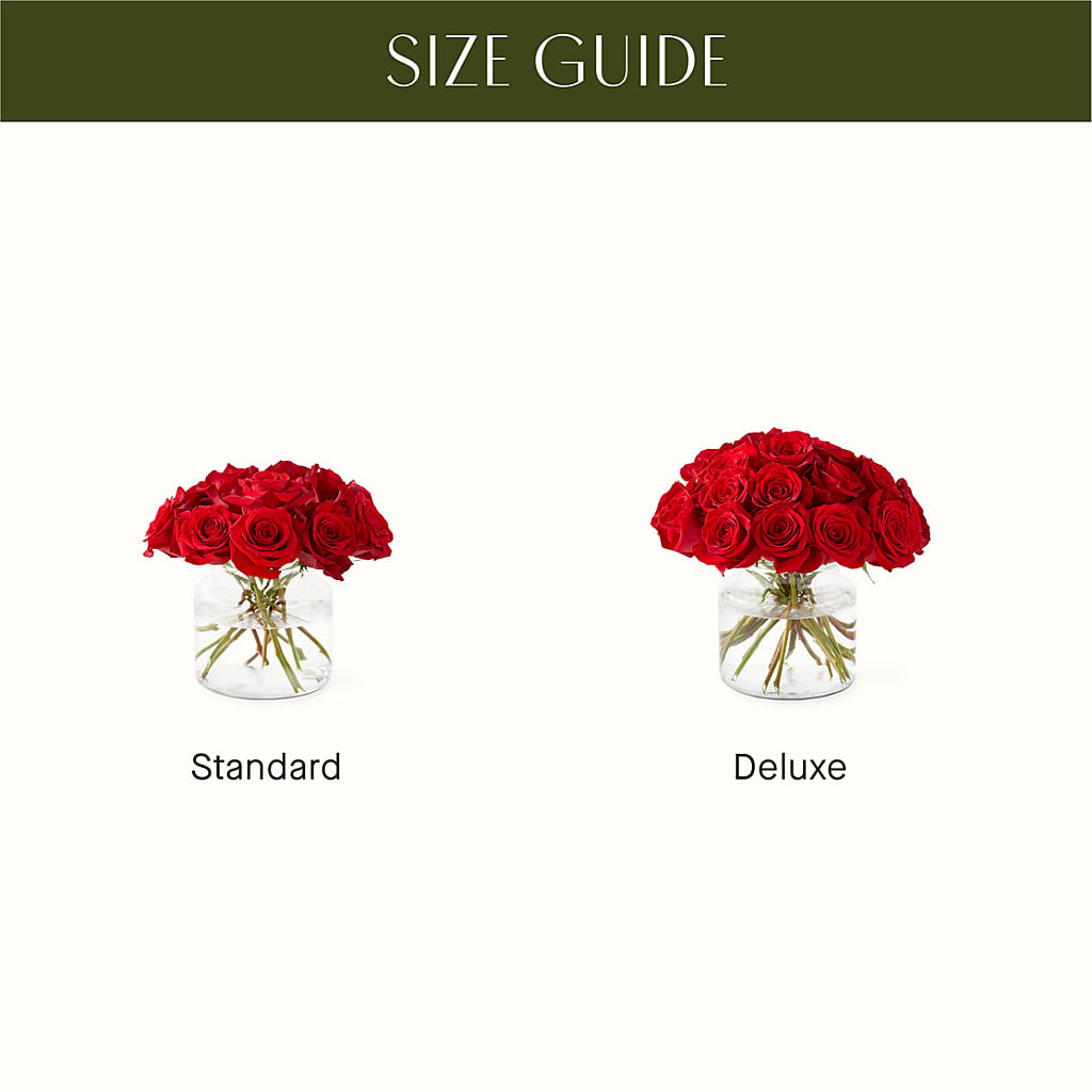 Cupid's Embrace Red Rose Bouquet –  Roseland Floral Co Inc, Charlotte NC