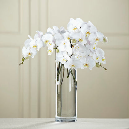 White Phalaenopsis Bouquet –  Roseland Floral Co Inc, Charlotte NC