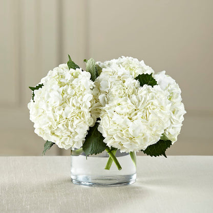 White Hydrangea Bouquet –  Roseland Floral Co Inc, Charlotte NC